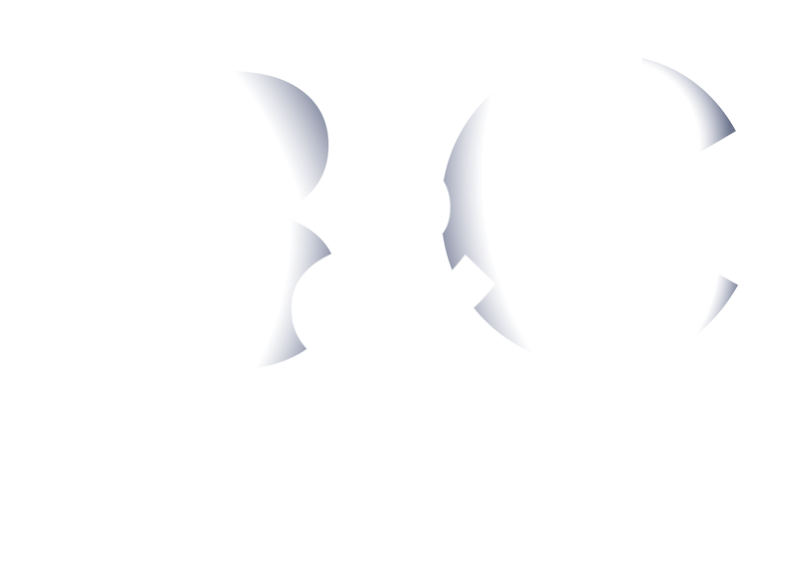 online retailer bricks and clicks